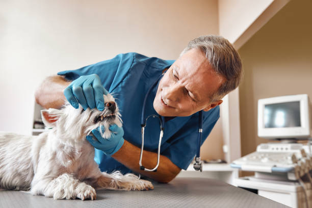 Best Emergency Tooth Extraction  in Lafayette, TN