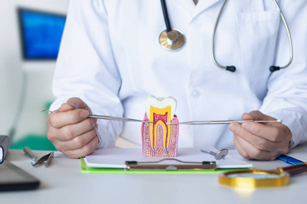 Best Knocked-Out Tooth Emergency  in Lafayette, TN